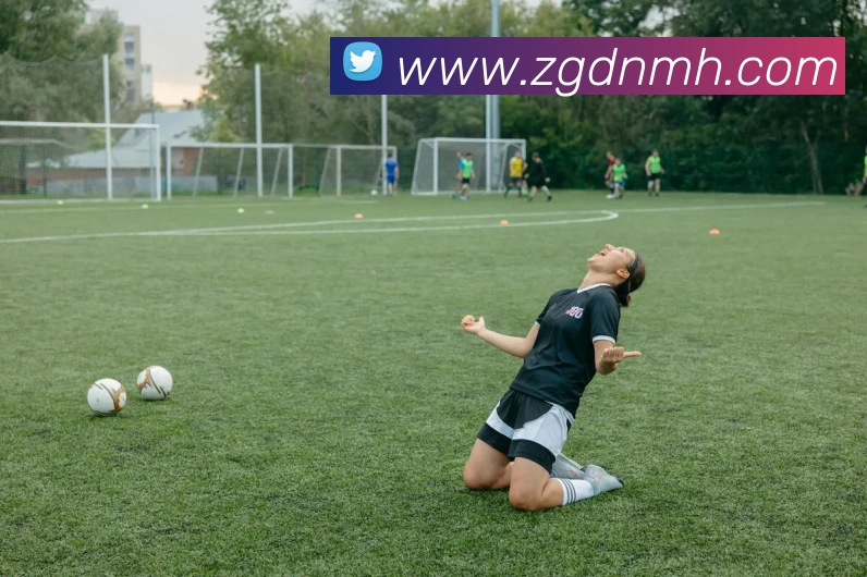 多媒体互动体验